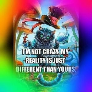 Meet your Posher, Tommy